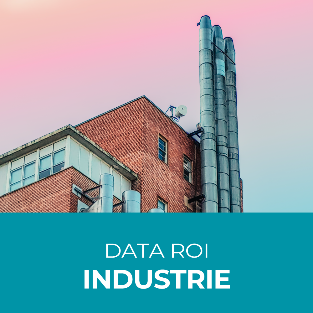 Visuel_Site_CasClient_DATA-ROI-industrie
