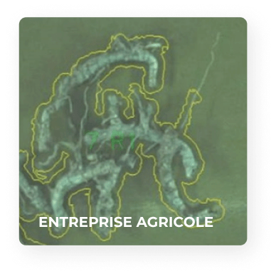 ia en agriculture